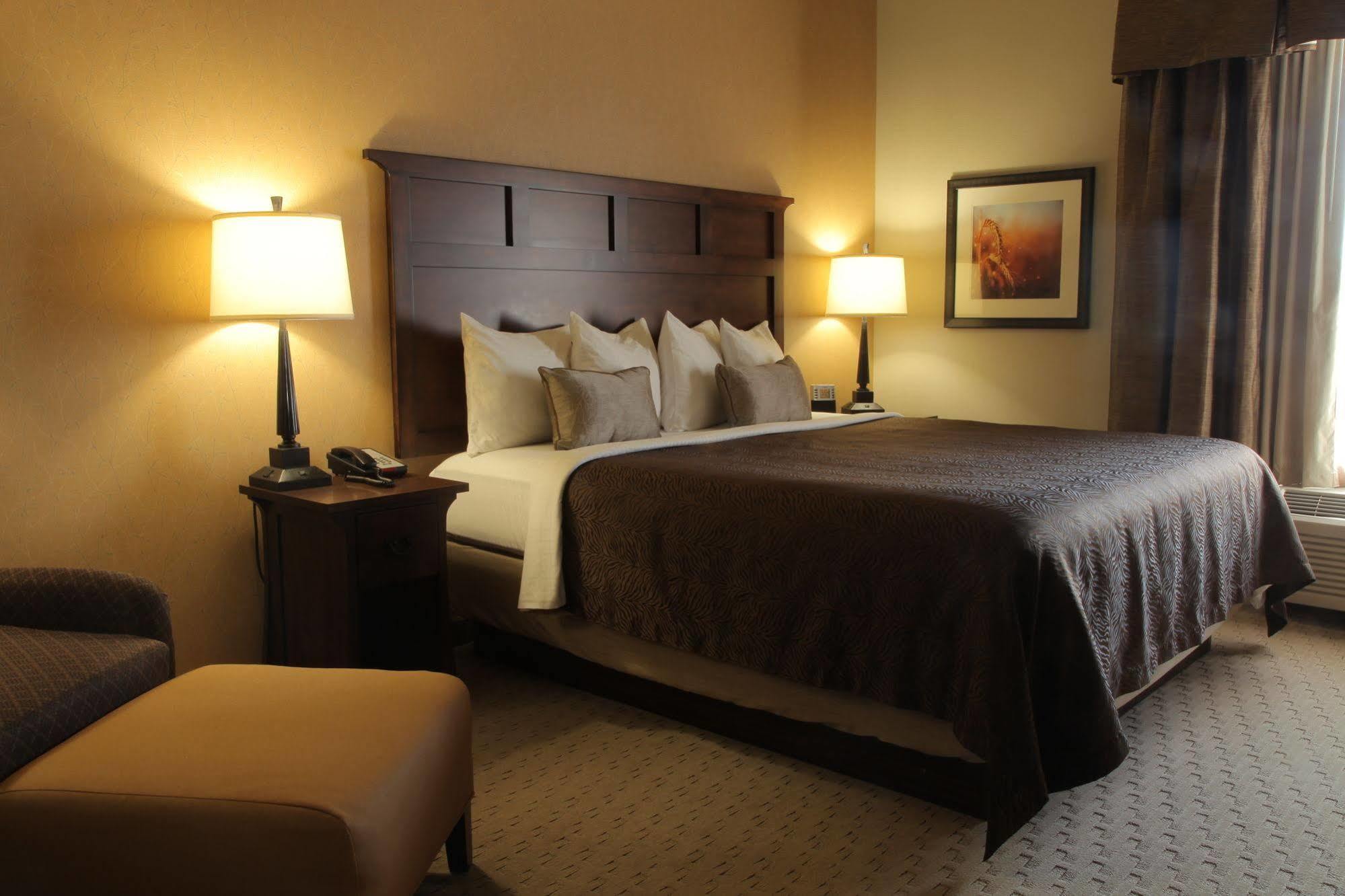 Teddy'S Residential Suites Watford City Dış mekan fotoğraf